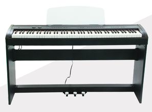 2018英昌樂器電鋼琴新品發(fā)布 引領數(shù)字音樂新紀元